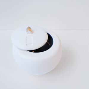 Deze elegant bolle, ronde Behuizing schaal is gemaakt van wit keramiek en heeft een deksel met daarop een huisje.