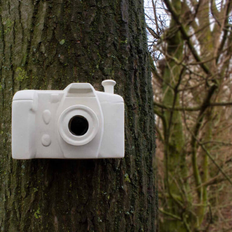 Hang de 'fotocamera' bijvoorbeeld aan een boom. Kleine vogeltjes, zoals de meeste meesjes, kunnen door de lens naar binnen en buiten.