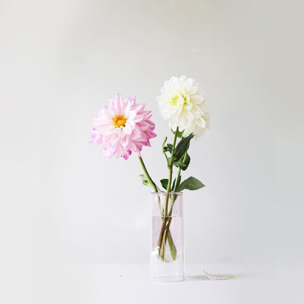 Ook Dahlia’s staan prachtig in de moderne Flower Tube vazen. Samen vormen ze een prachtig ensemble.