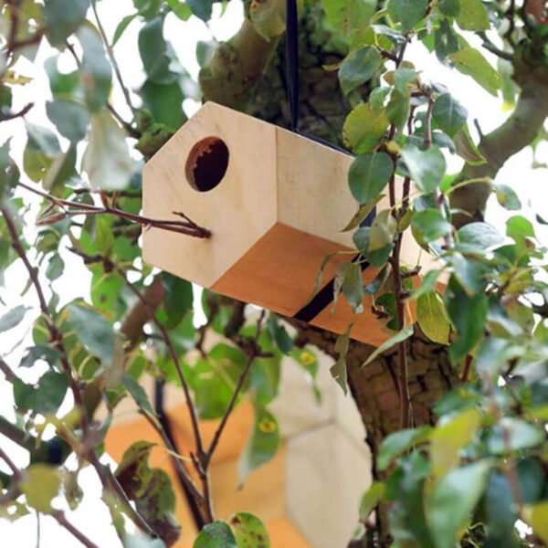 Het houten vogelhuisje Neighbirds hangend in een boom. Het gaat mooi op in de natuur.