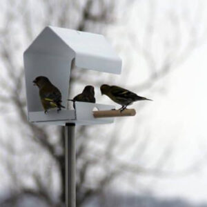 Klein maar fijn: vogelhuis petit. Het voederhuis heeft een grote aantrekkingskracht op vogels.