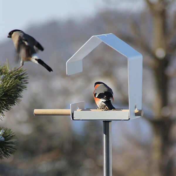 Op de tak of het stokje van het Petit vogelhuisje, dat overigens niet inbegrepen is, kunnen vogels aanvliegen of uitrusten.