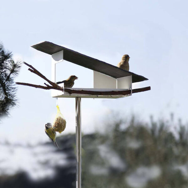 Vogels bezoeken maar wat graag het moderne voederhuisje met Leisteen dak.
