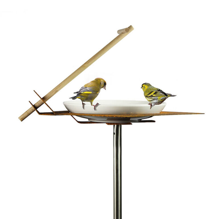 De Hoogvlieger vogeldrinkschaal kan als vogelbad gebruikt worden. In warme zomers gebruiken de vogeltjes het bad om op temperatuur te blijven, om de veren waterafstotend te maken én om uit de drinken
