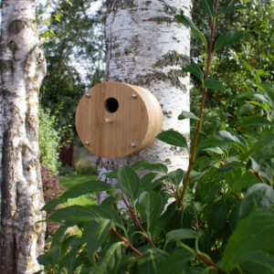 de invliegopening van het bamboe vogelhuis fly-inn wand model is ca 3 cm.