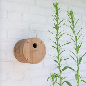 Het bamboe vogelhuisje Fly Inn - wand model is opgebouwd uit bamboe ringen die aan elkaar bevestigd zijn.
