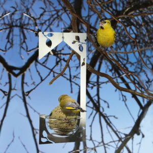 Vogels zijn dol op vetbolhouder. Hang daarom eens een Ballhouse vetbolhouder RVS in een boom.