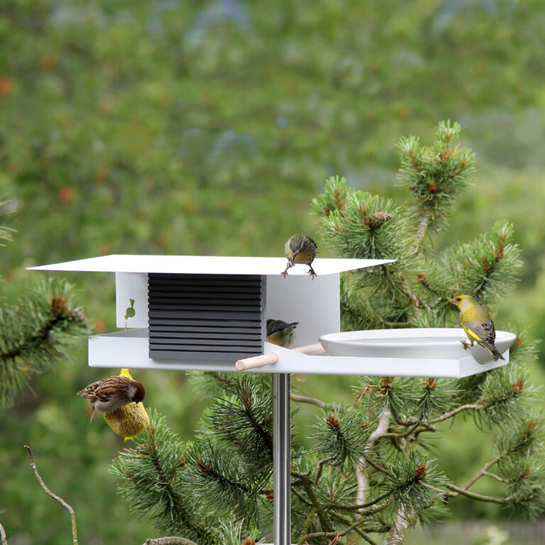 Vogels houden van het moderne wit metalen vogelhuis.