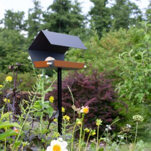 Open Diamond modern vogelvoederhuisje op hoge grijze paal tussen weelderige beplanting
