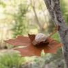 Leaf Me – Wand-vogelvoederschaal – Bruin metaal